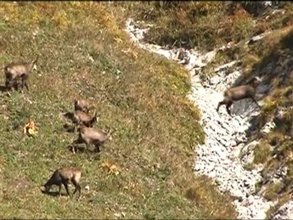 La Réserve nationale de chasse et de faune sauvage