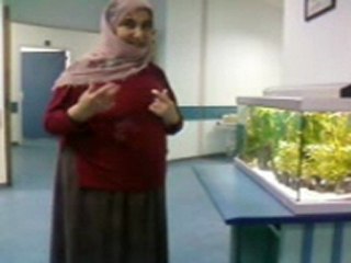 nazlı teyzenin balık sevgisi