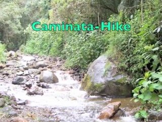 EMPRESAS DE TURISMO DEL QUINDIO