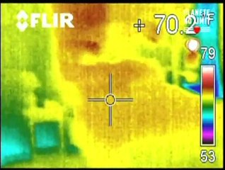 TAPS  LE MYSTERE DE LA DAME BLEUE 2-5