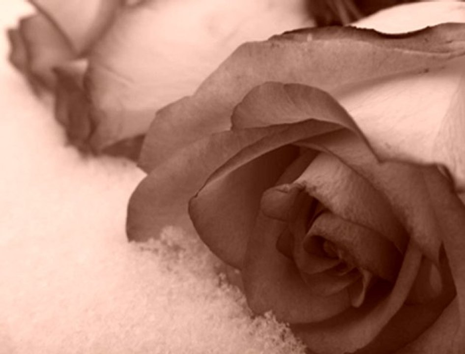 huysuz ve tatlı kadın Instrumental müzik