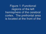 ISLAM The Scientific Miracles of Quran and Islam, The Quran on the Cerebrum