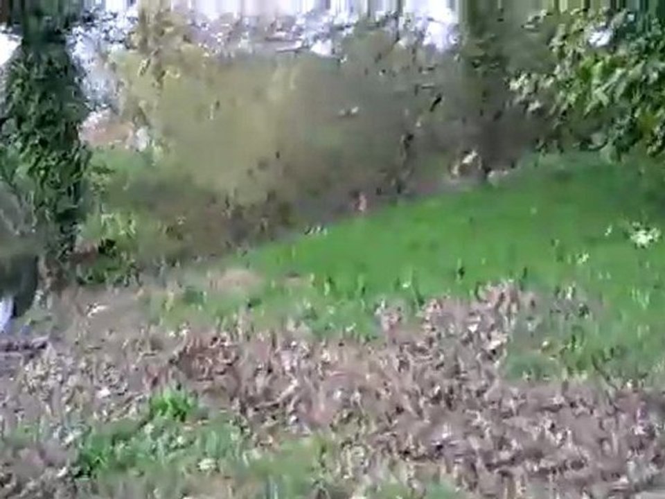 Vidéo0017