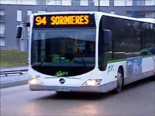 Mercedes Benz citaro II L n°5504 - TAN