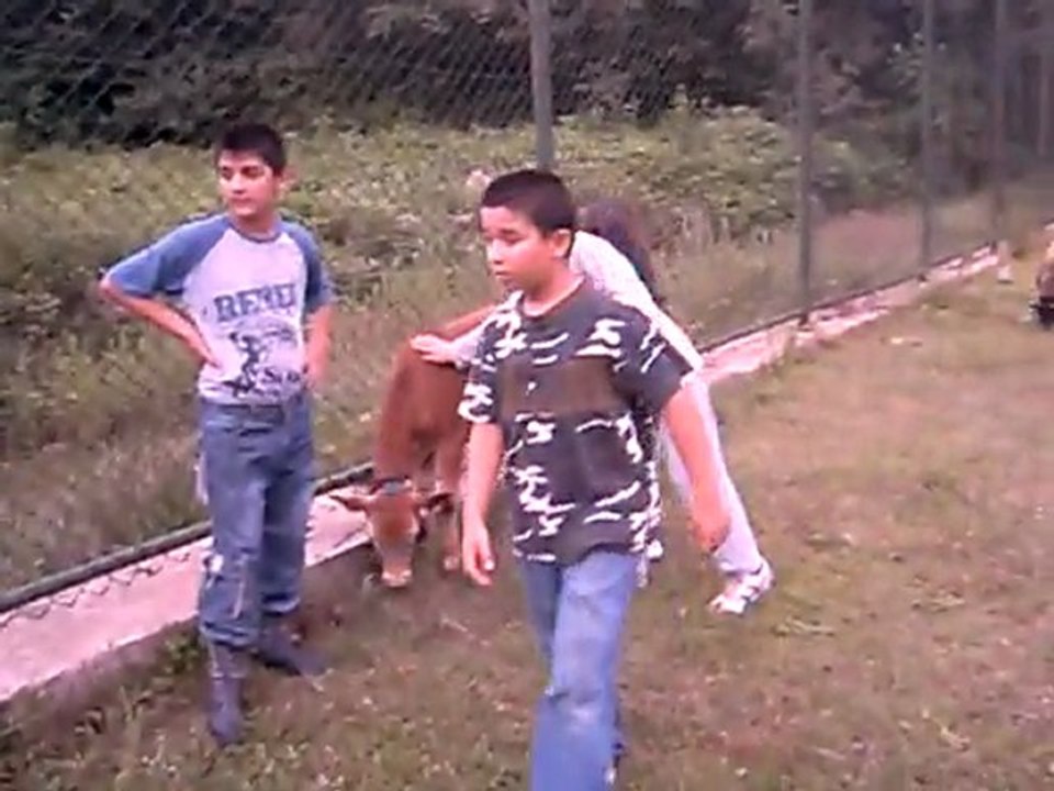 kaynar mahallesi demen düzü