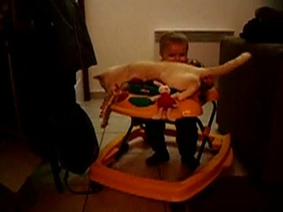 toulouse et bebe: trotteur