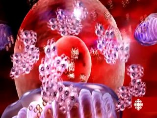 Les antioxydants et les radicaux libres