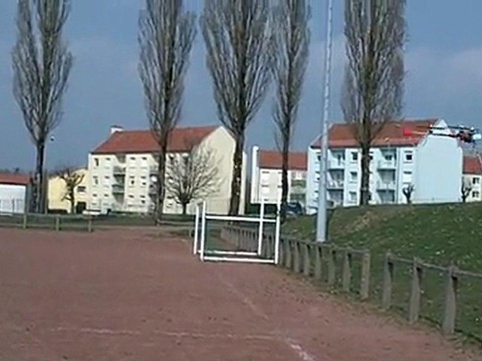 bernard