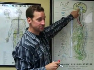 Understanding Scoliosis 📏