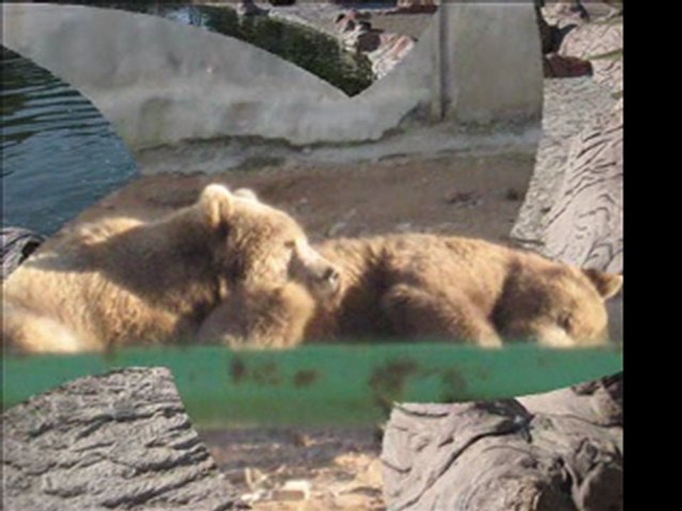 Gaziantep Hayvanat Bahçesi