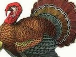 Top 7 foods that increase metabolism