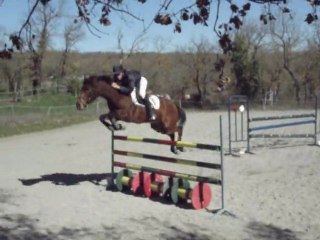 Pastis de boitleau CSO Pégase 110