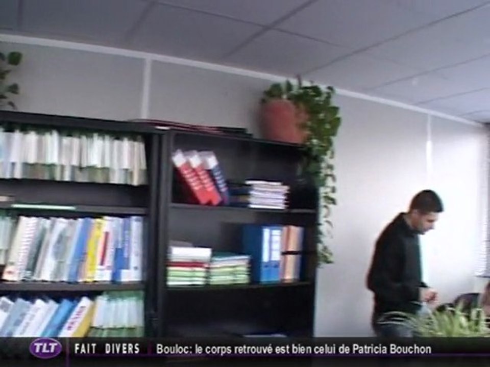 Phyt'Office : Un bureau écolo chez Inddigo Toulouse !