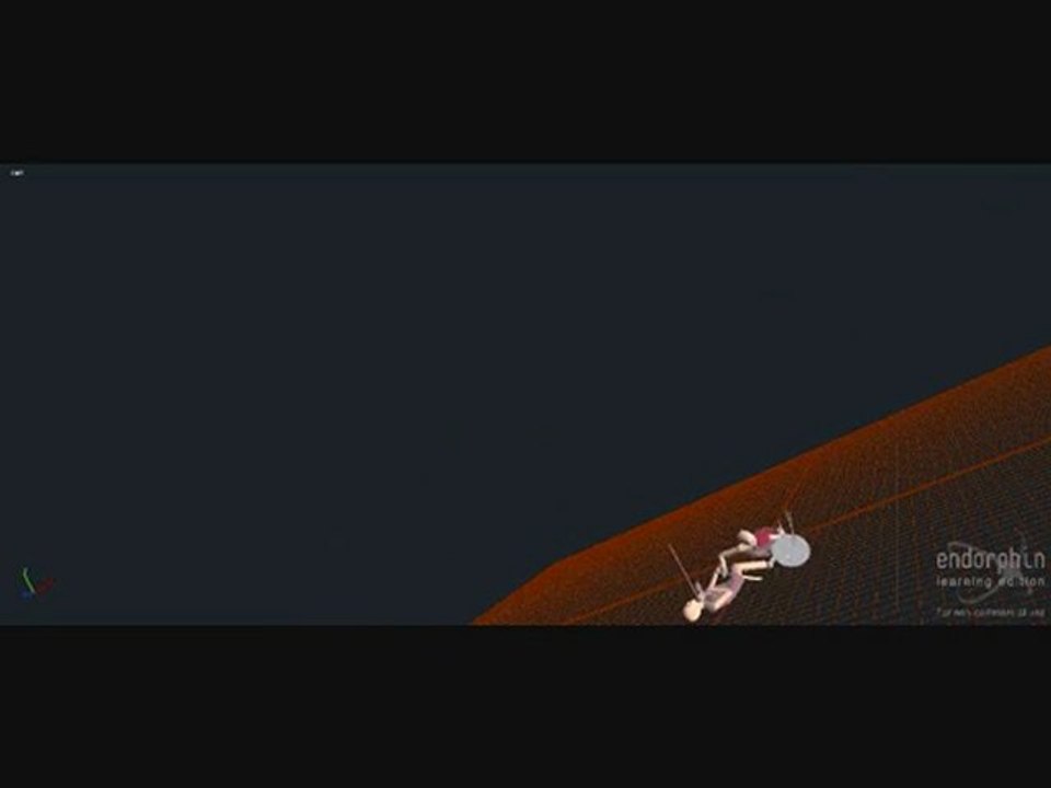 Endorphin short sword fight