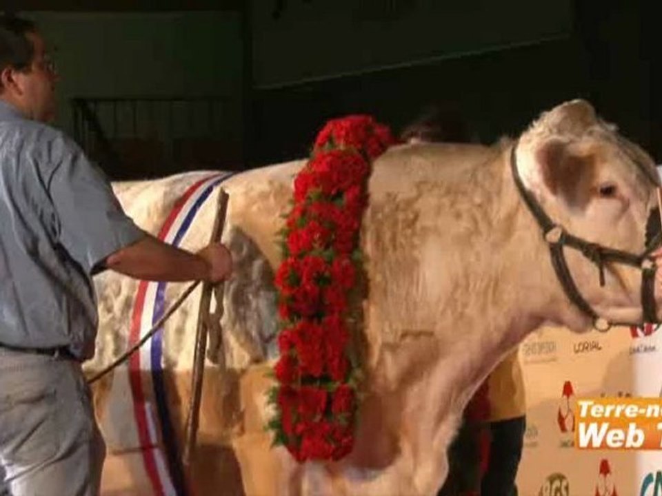 Eurogénétique 2011 - Gagnante du concours Charolais