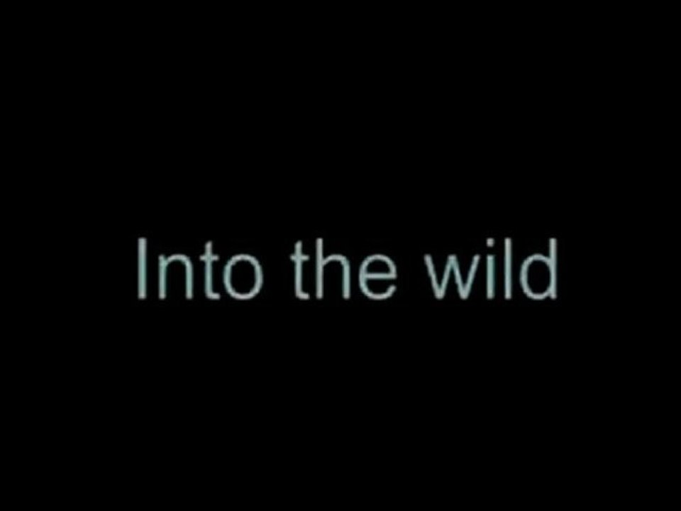 Alone into the wild
