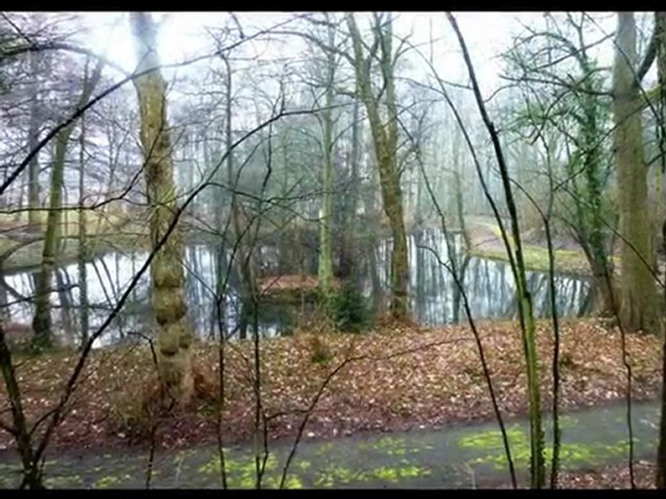 année 2011 - mois de février - nº 11