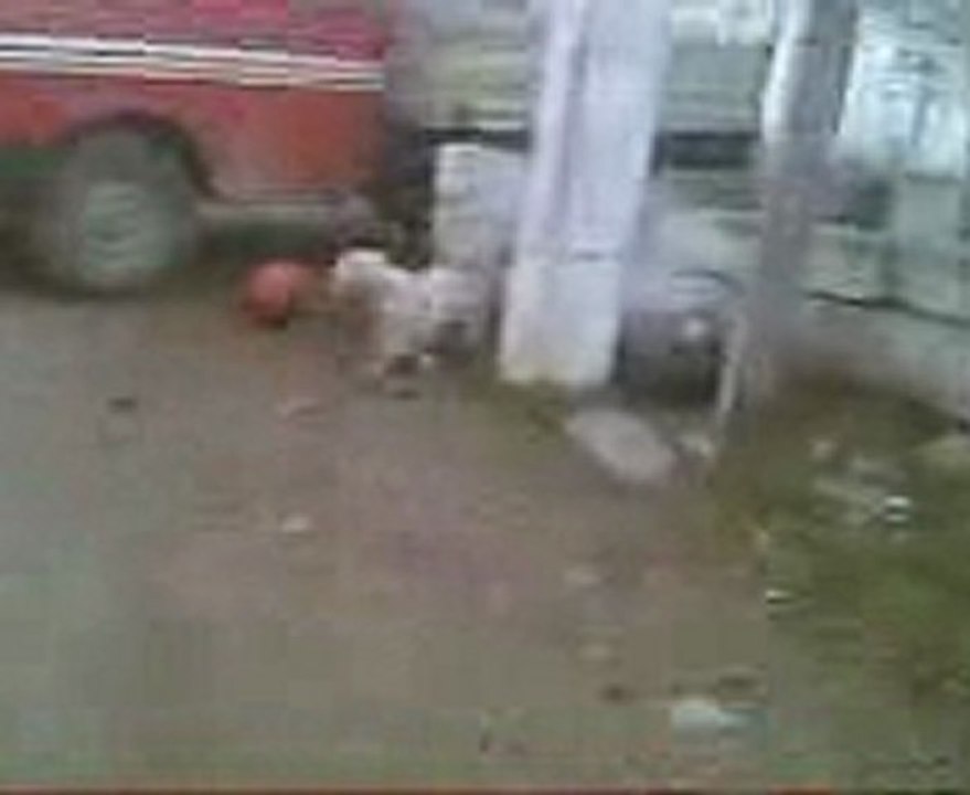 Video00g