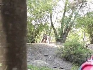 Família Sampaio em... Férias na Disney - 4º capítulo