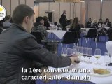 Le concours des jeunes professionnels du vin