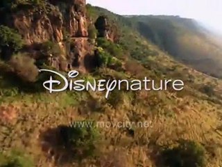 African Cats *HQ* Trailer Full