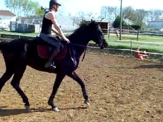 mumu en carrière avec SOL INVICTUS