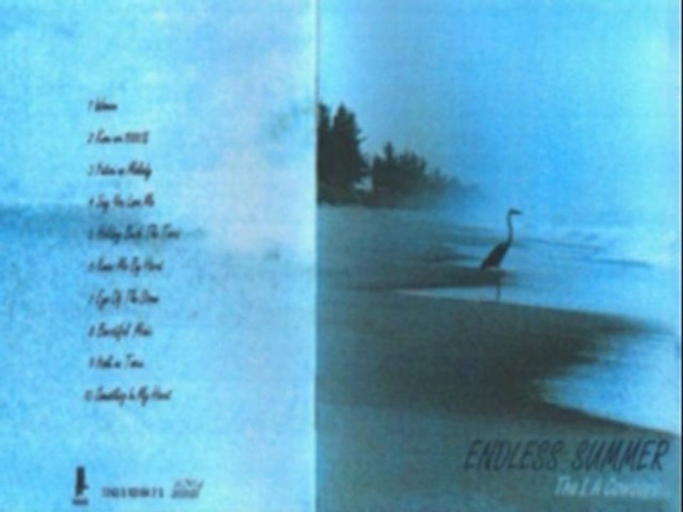 The L.A. Cowboys - Tokyo Woman (1995)