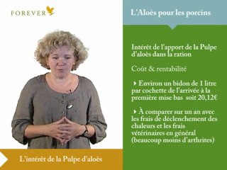 24306977_mp4_h264_aac