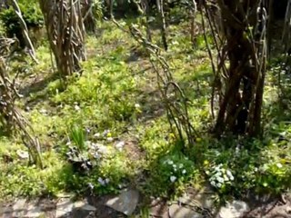 Lundi 28 Mars 2011  Sculptures-Vivantes  & source