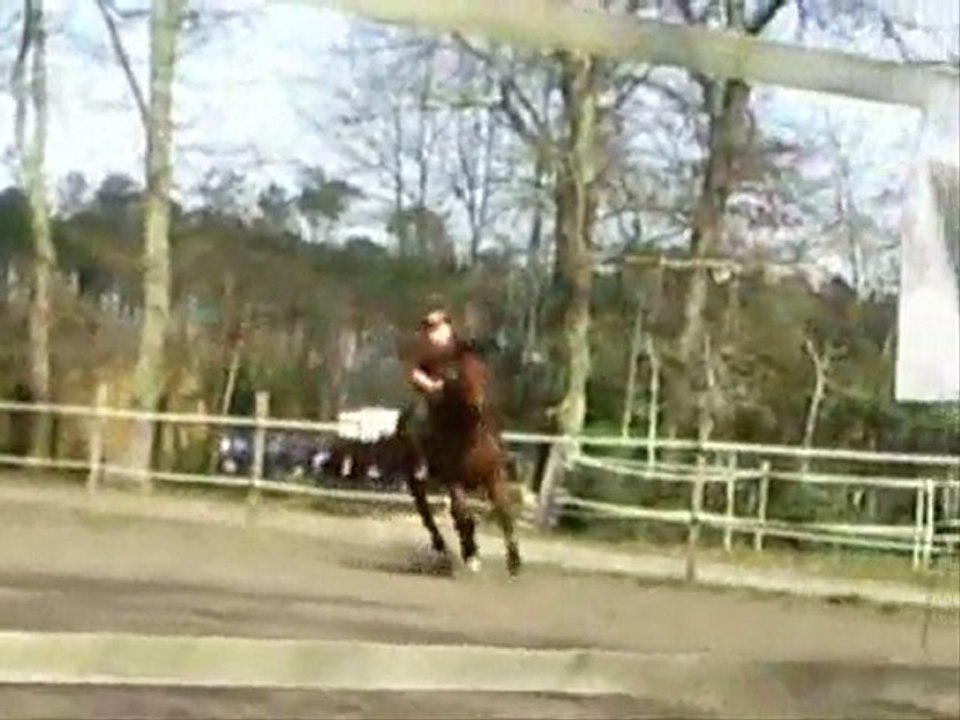 Amandine et Fifi à l'obstacle