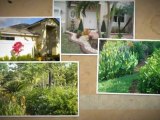 Weston FL Landscaping Company, Landscape Designing Weston FL