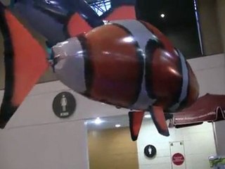 Balık Dostları Uzaktan Kumandalı balık