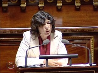 Virginie KLES - Conclusion de la CMP LOPPSI 2 - 8 février 2011