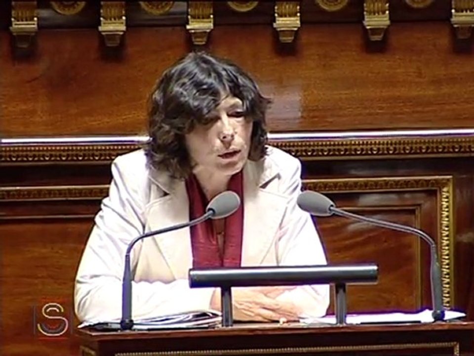 Virginie KLES - Conclusion de la CMP LOPPSI 2 - 8 février 2011