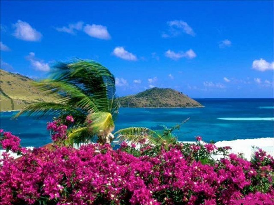 ''Bozcaada - Hotel Fahri'' müzik ve görsel terapi sunumu.