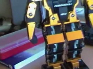 Construction and Testing of the Maximus Robot