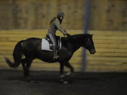 Quiator cours 03/11 saut double