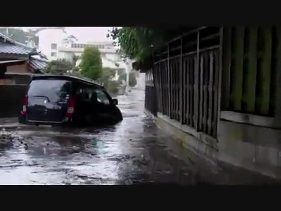 Tsunami japon 11 mars 2011