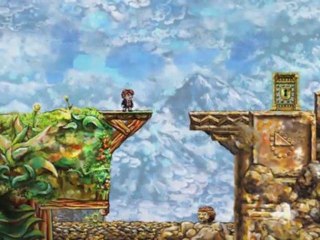 Présentation de Braid