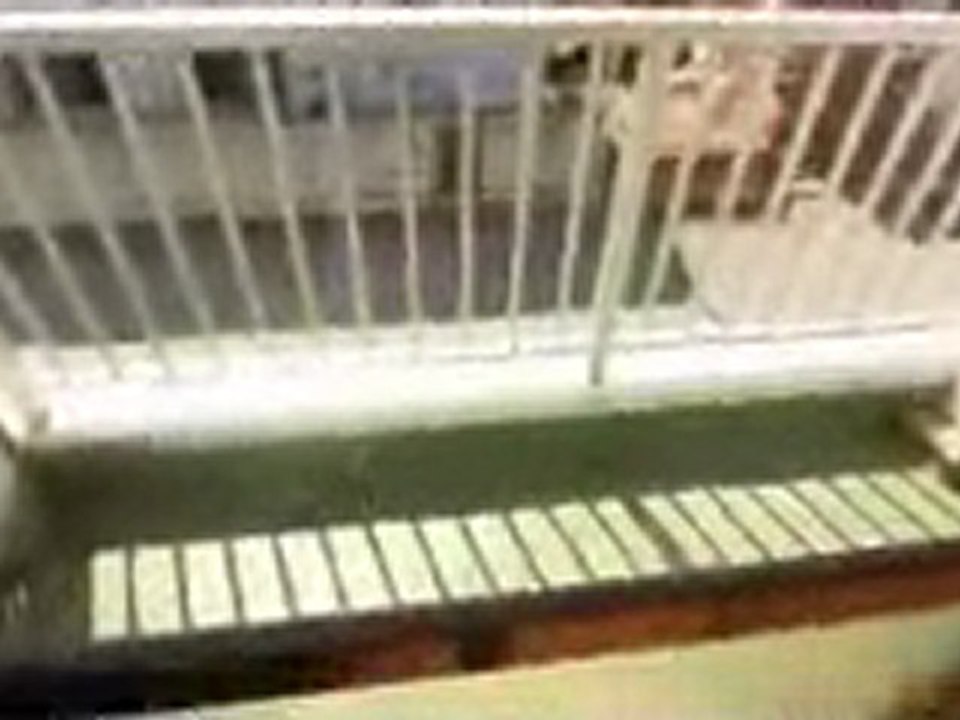 センチュリーハイツＡ　群馬女子大付近の賃貸アパート