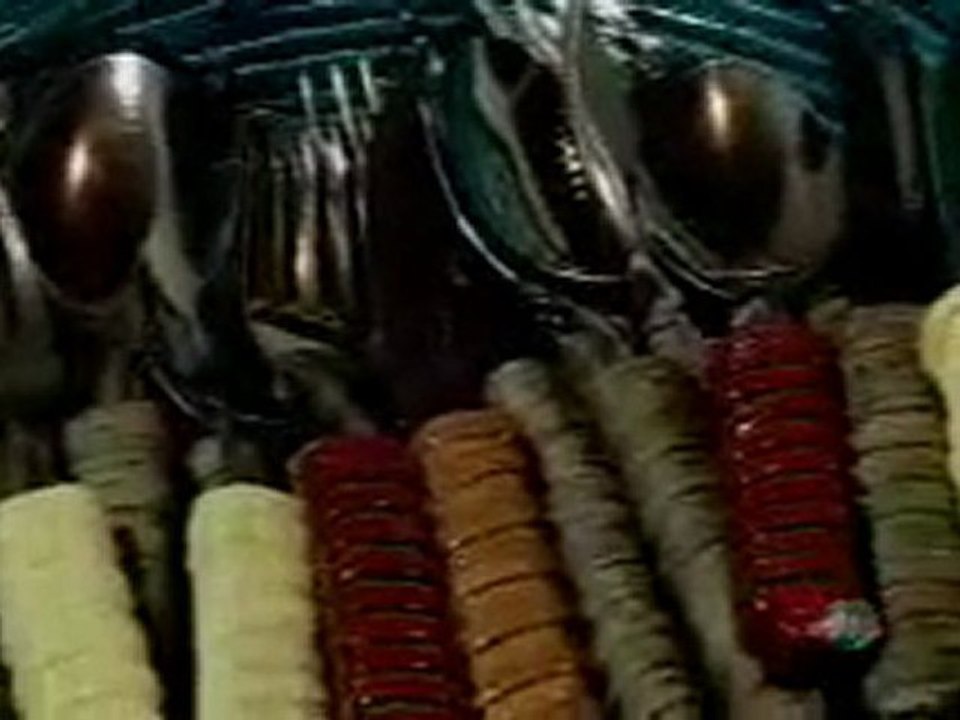 Trabalhos feito com jornal - Programa Arte Brasil
