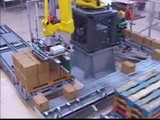 Case pack, shrink-wrap, palletize household products 3/3