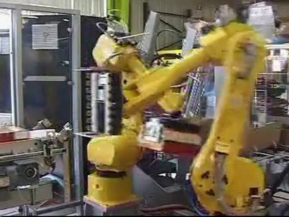 Robot case packer and palletizer 1/2