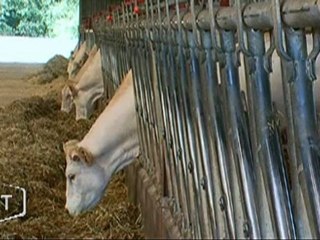 La contractualisation chez les agriculteurs