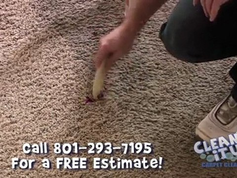 Carpet Cleaners Salt Lake City - Removing Red Stains From Carpet and Rugs