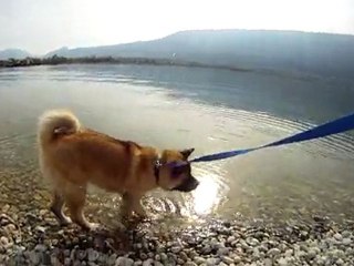 2011-04-01 - Lac du Bourget - 1