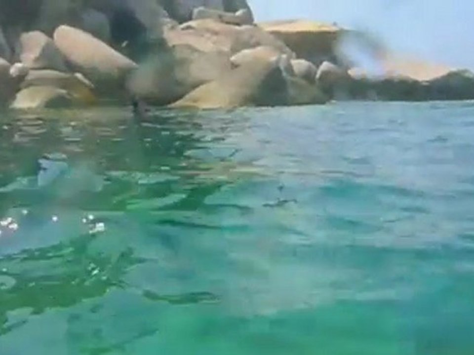 Snorkeling at Ao Muang Mango Bay Koh Tao and Koh Nang Yuan - Thailand