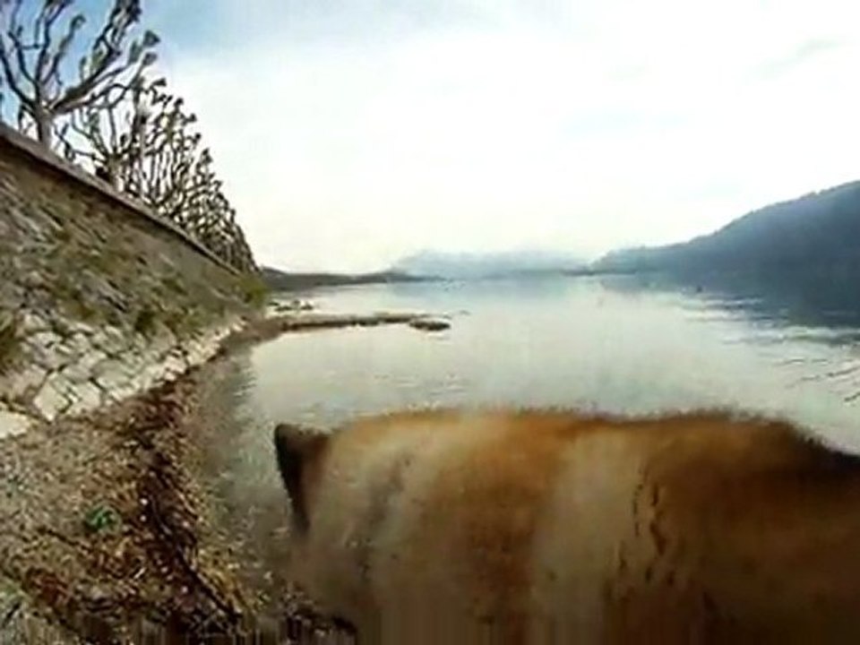 2011-04-01 - Lac du Bourget - 3