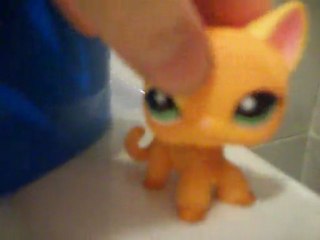 Ouverture de la piscine à Petshop ville