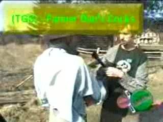Farmer Dan's cocks